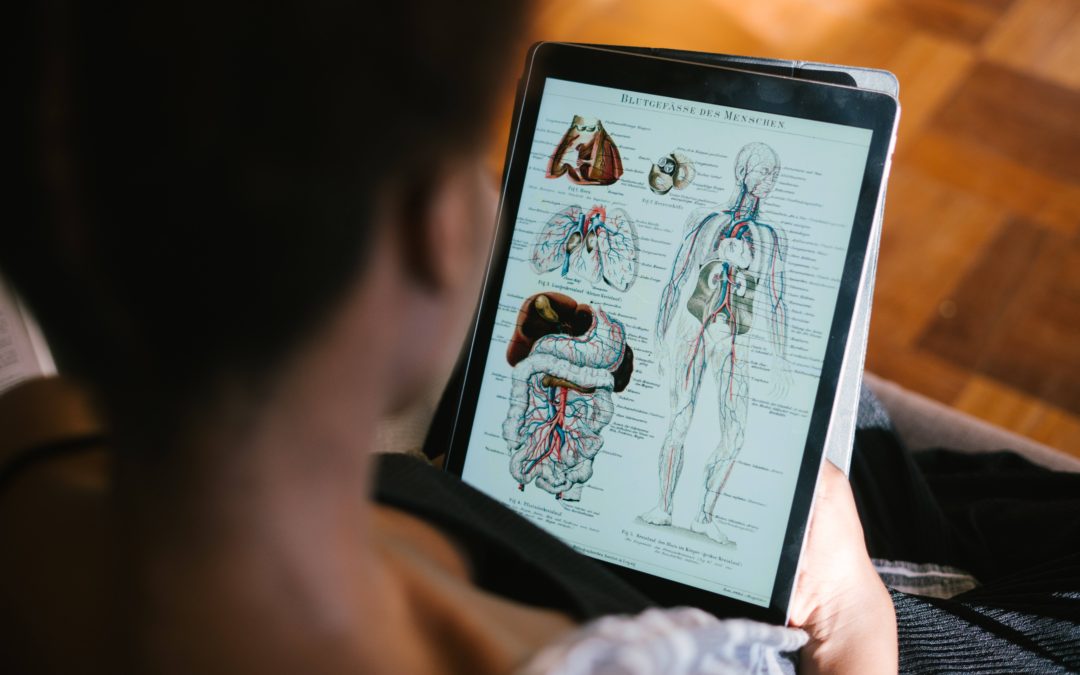 A person looking at an anatomy diagram on a tablet.